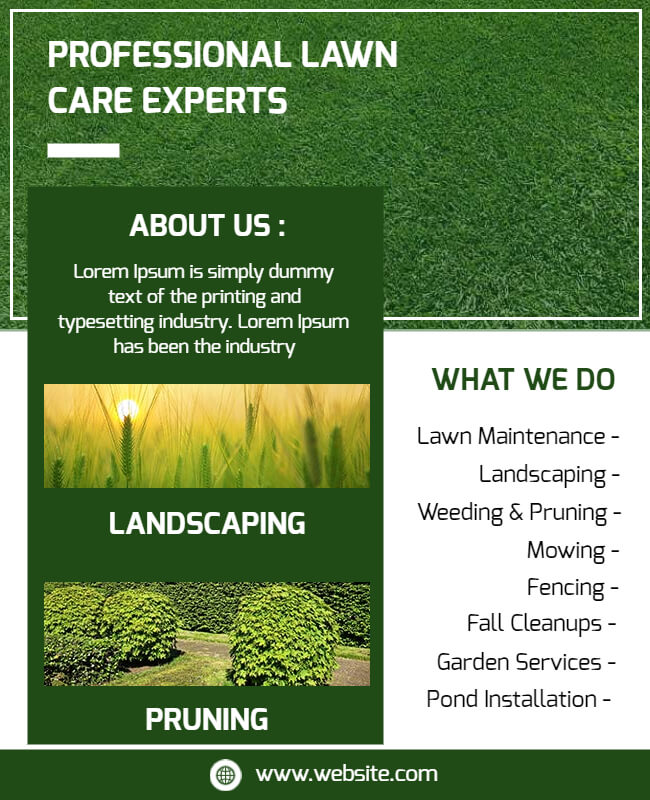 Professional Lawn Care Flyer