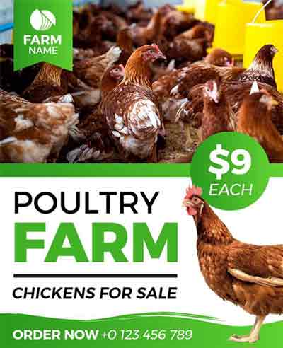 Realistic Poultry Farm Animal Flyer Template
