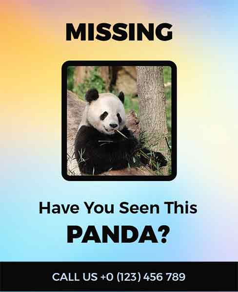 Gradient Missing Panda Flyer Template