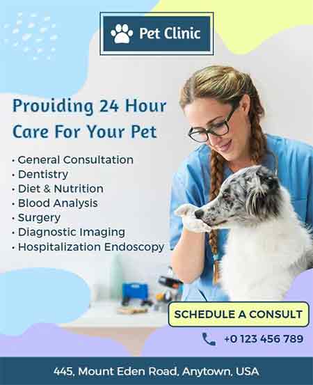 Creative Pet Clinic Animal Flyer Template