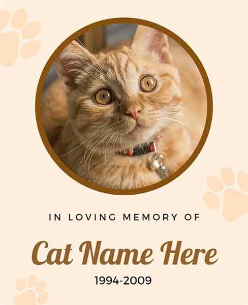 Minimalist Cat Obituary Animal Flyer Template