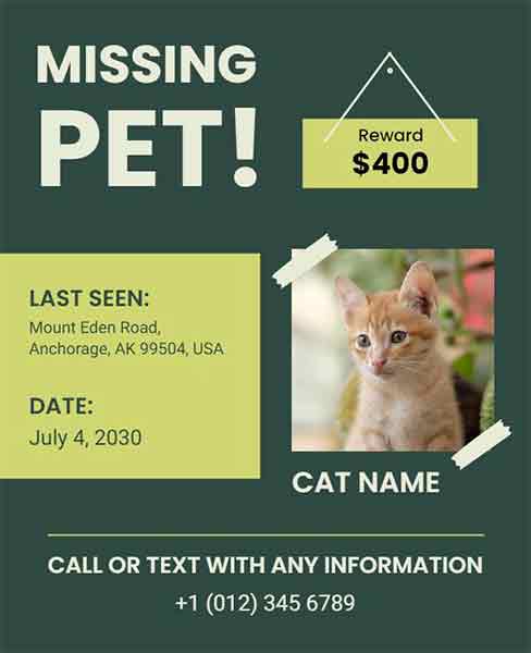 Modern Missing Pet Flyer Template