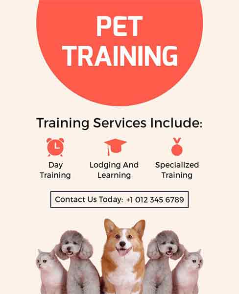 Minimalist Pet Training Animal Flyer Template