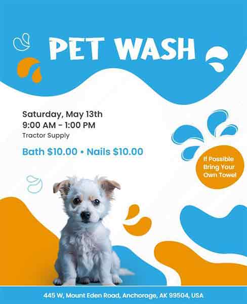 Creative Pet Wash Animal Flyer Template