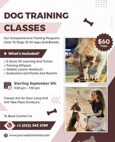Brown Professional Dog Training Classes Flyer Template