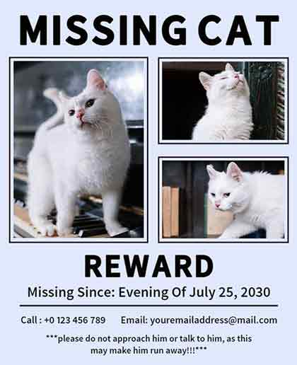 Photo Frame Missing Cat Flyer Template