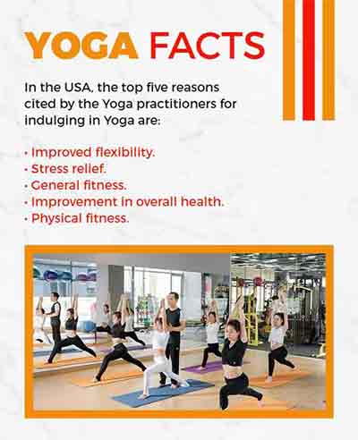 Creative Yoga Facts Flyer Template