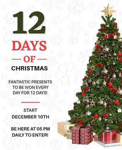 Minimalist 12 Days of Christmas Flyer Template