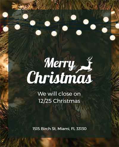 Simple Christmas Announcement Flyer Template