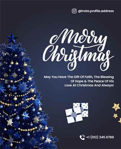 Elegant Christmas Wishes Flyer Template