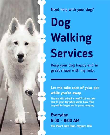 Realistic Dog Walking Service Flyer Template