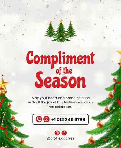 Simple Compliment of the Season Christmas Flyer Template